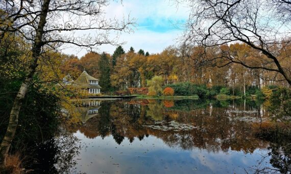 a lake surrounded by trees and a house