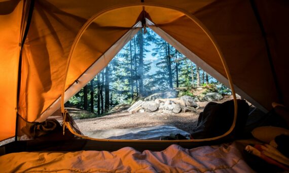 orange camping tent near green trees